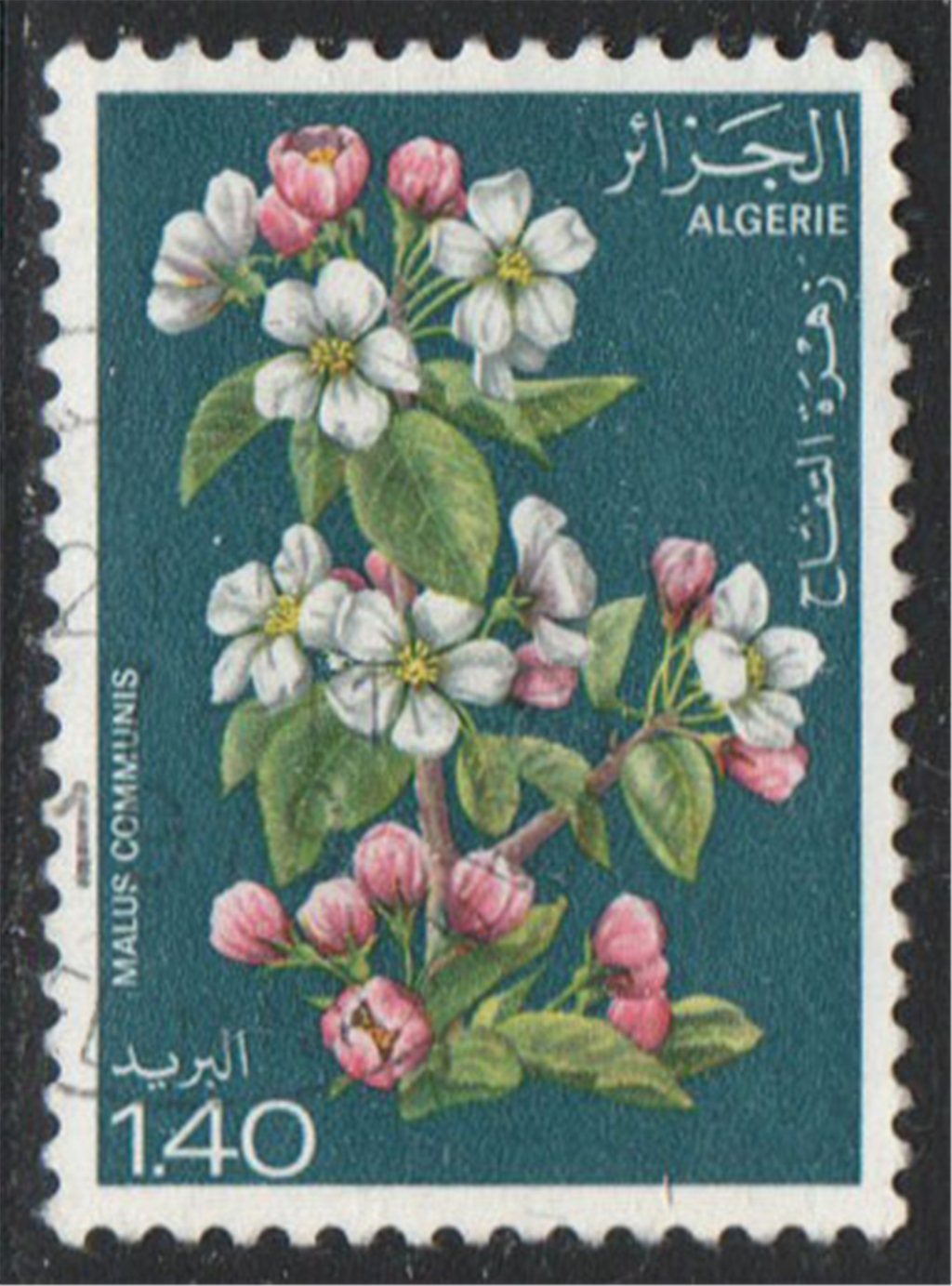 Algeria Scott 610 Used - Click Image to Close
